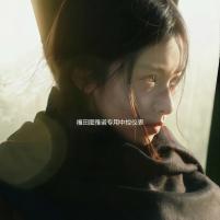 福田图雅诺专用中控仪表台防晒避光垫遮阳防滑汽车内饰品配件改装